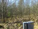 Björkudden, Götlunda