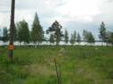 Gesunda