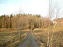 Skepplanda
