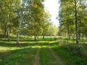 Björkudden