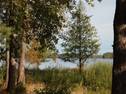 Dalälven