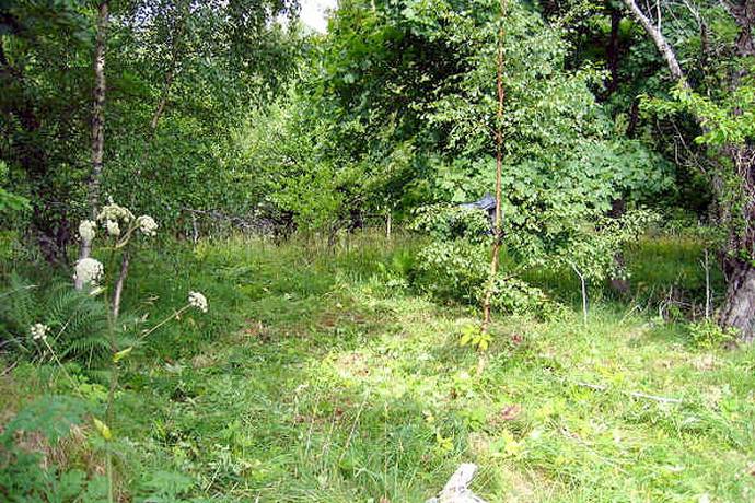 Bild 4: villa på Tjädervägen 9, 544 92 Hjo, Hjo kommun Långeruder Hjo Västergötland