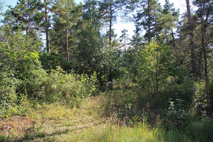 Bild 1: tomt på Vedbyskogsvägen 17, Borgholms kommun Hornsjön