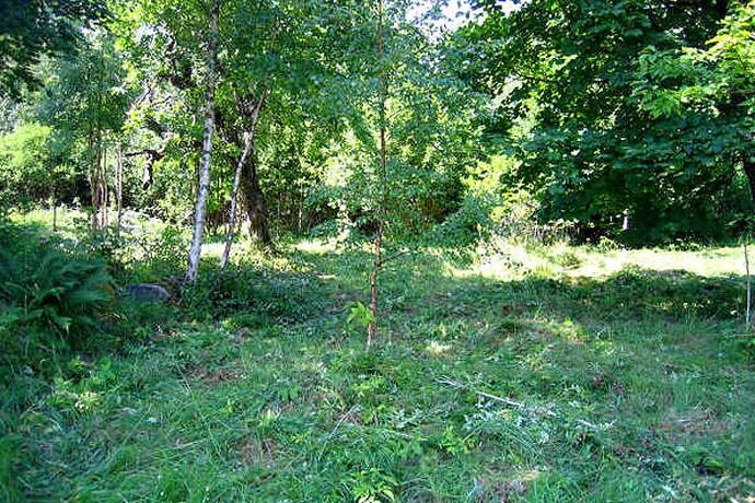Bild 3: villa på Tjädervägen 9, 544 92 Hjo, Hjo kommun Långeruder Hjo Västergötland