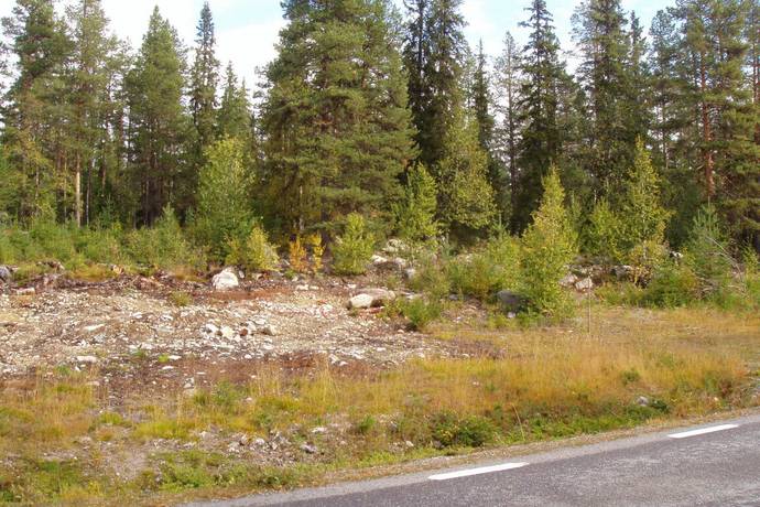 Bild 1: villa på Sågliden, Älvdalens kommun Grövelsjön Sågliden