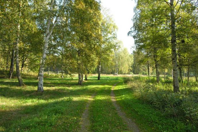 Bild 5: tomt på Andvägen 3, Arboga kommun Björkudden
