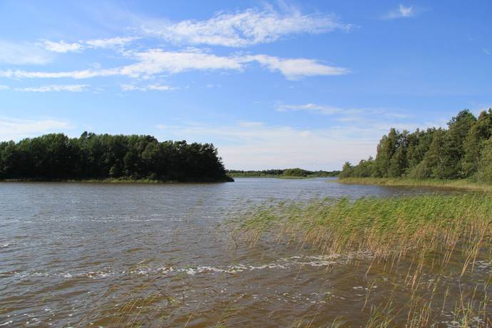 Bild 4: tomt på Vedbyskogsvägen 17, Borgholms kommun Hornsjön