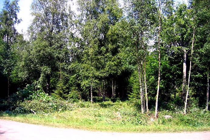 Bild 2: villa på Tjädervägen 9, 544 92 Hjo, Hjo kommun Långeruder Hjo Västergötland