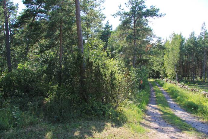 Bild 3: tomt på Vedbyskogsvägen 17, Borgholms kommun Hornsjön