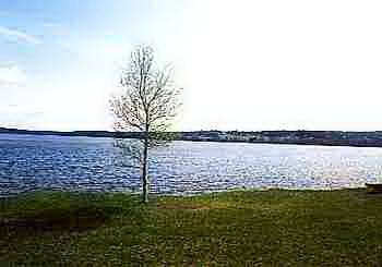 Bild 5: tomt på Tomtområde 200m fr. Hamnen, Berg, Bergs kommun Jämtland