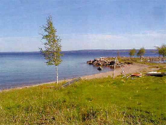 Bild 4: tomt på Tomt vid sjön Skagern, Delebäckstor, Gullspångs kommun Västergötland