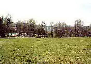Bild 2: tomt på Tomtområde 200m fr. Hamnen, Berg, Bergs kommun Jämtland