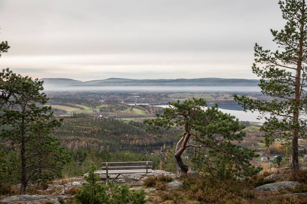 rnsk-ldsvik-ster-s-1-146-i-sj-levad-rnsk-ldsviks-kommun-g-rd-skog