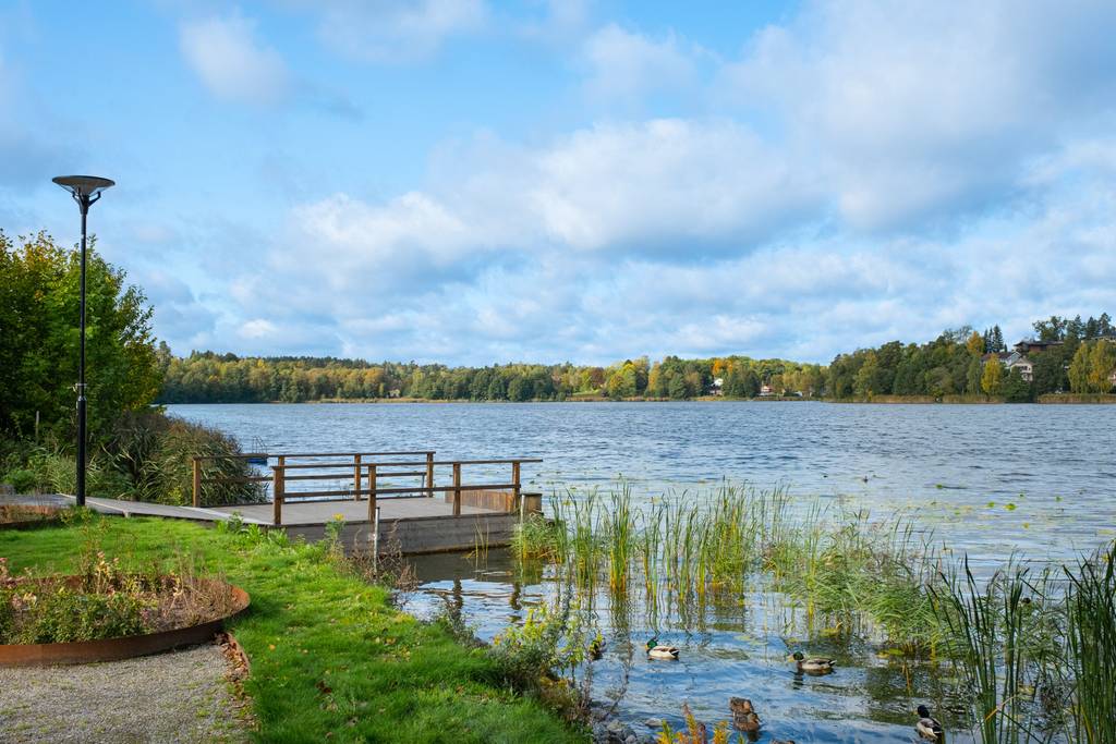 Lokala experter i Salem/Rönninge bild
