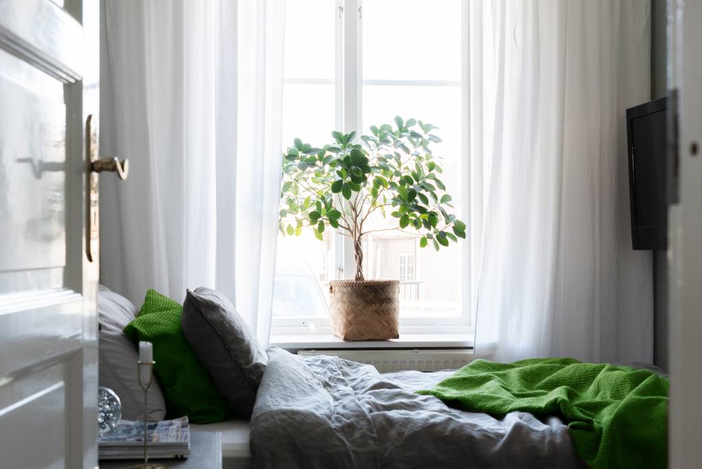HUS bild