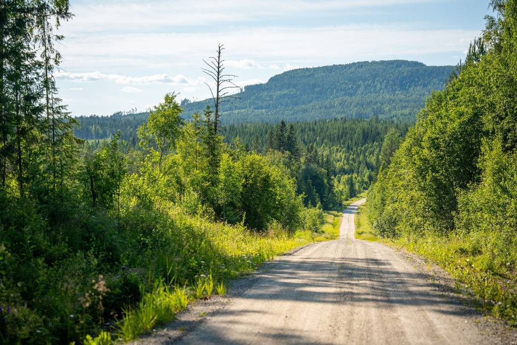 nge-stby-1-30-i-erikslund-nge-kommun-g-rd-skog-till-salu-hemnet