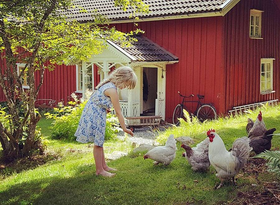 Idyller & sjölägen i hela Sverige bild