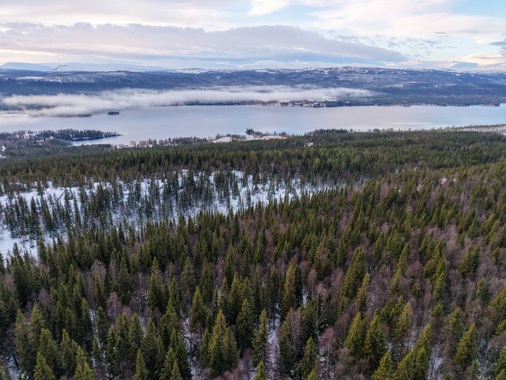Strömsund Håkafot 1:5 - gård/skog till salu - Hemnet