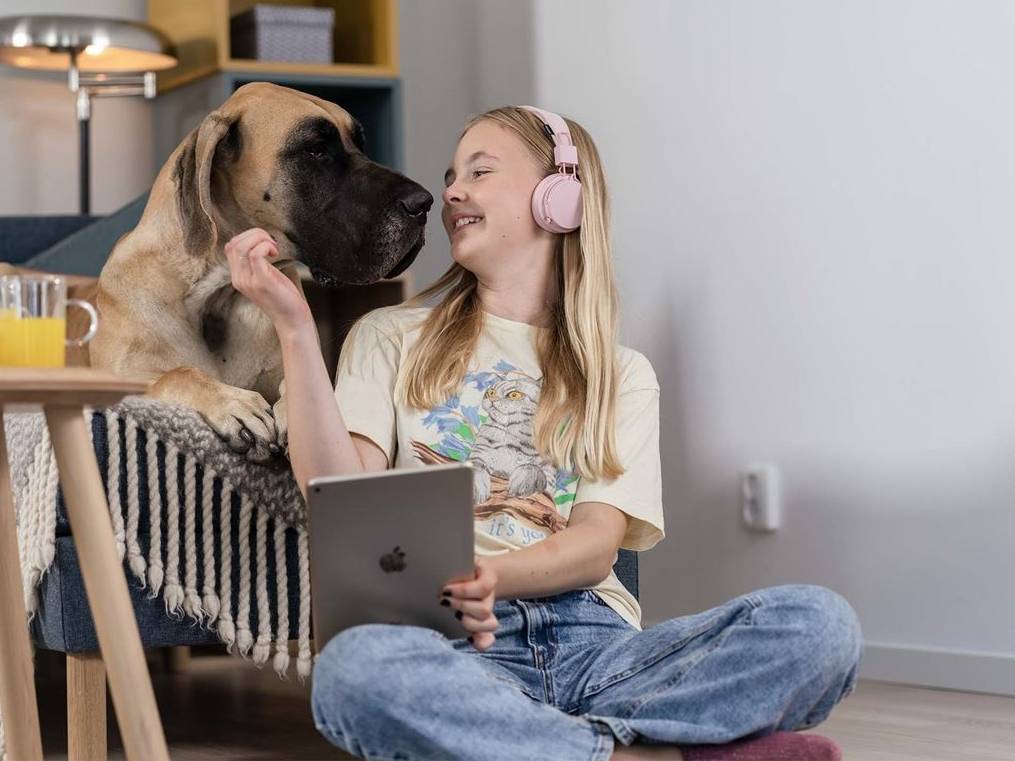 Få en husresa helt utan krusiduller bild