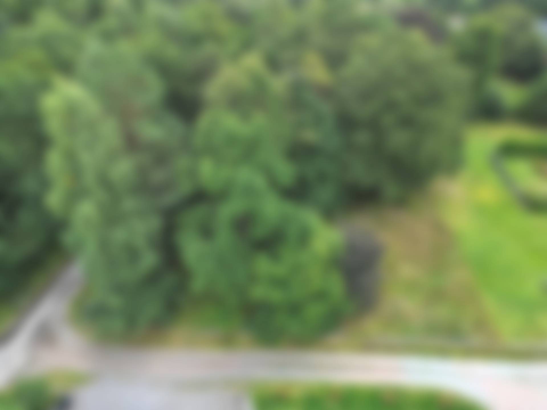 Rödbo, Göteborgs kommun