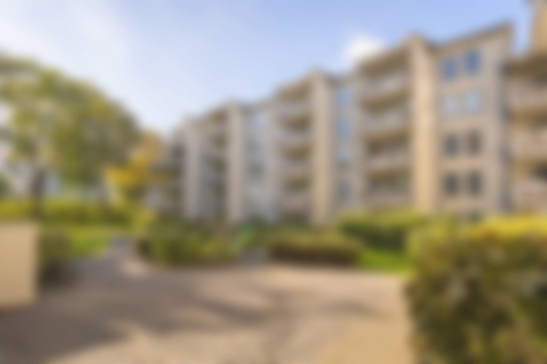 Västra Skogen, Solna kommun
