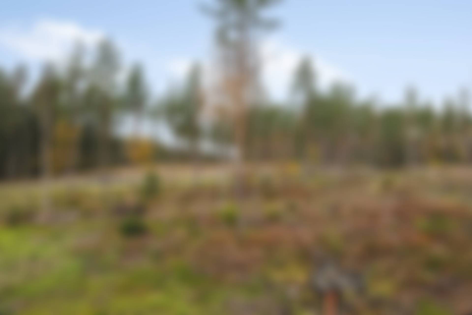 Sollarö, Norrtälje kommun
