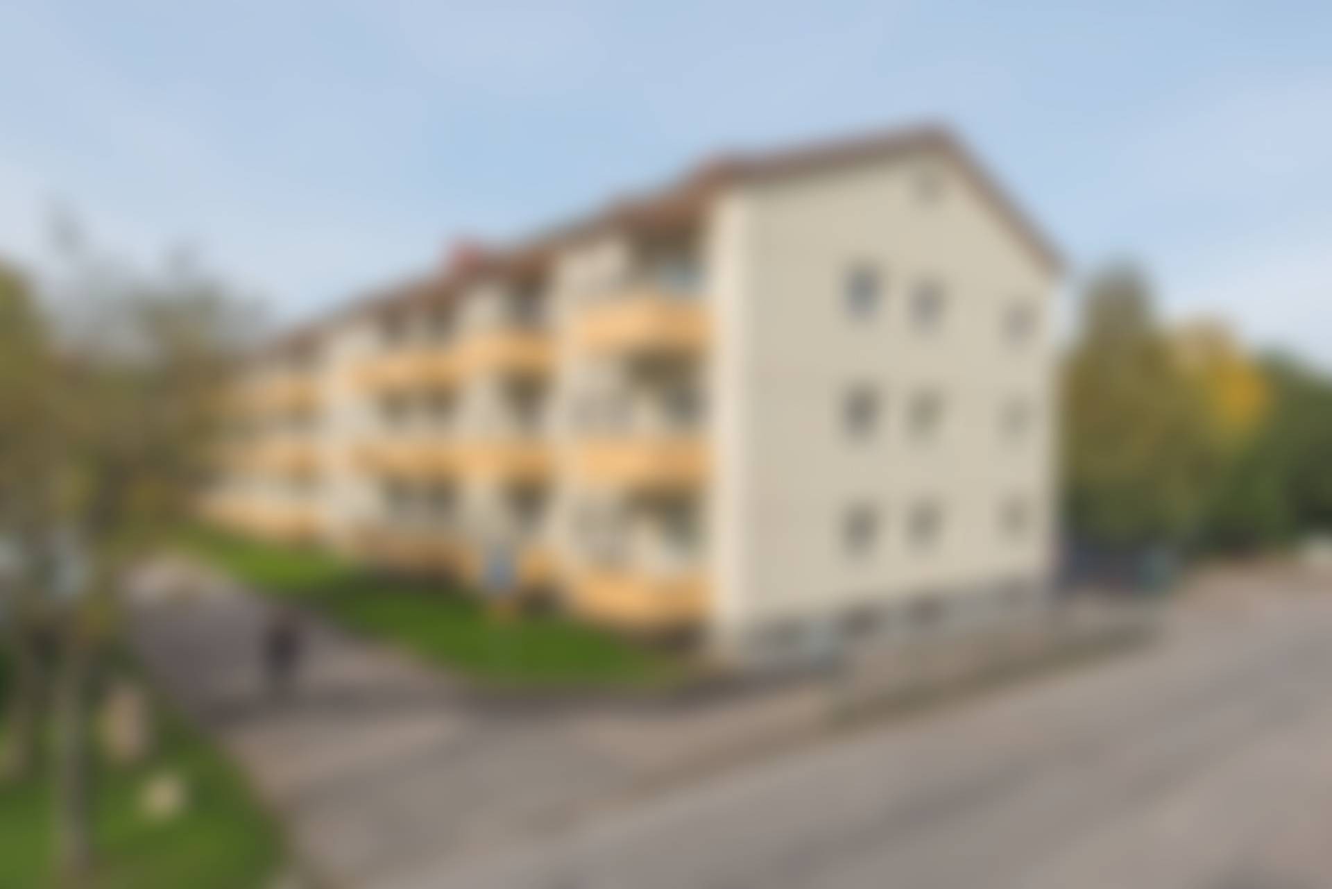 Borås, Borås kommun