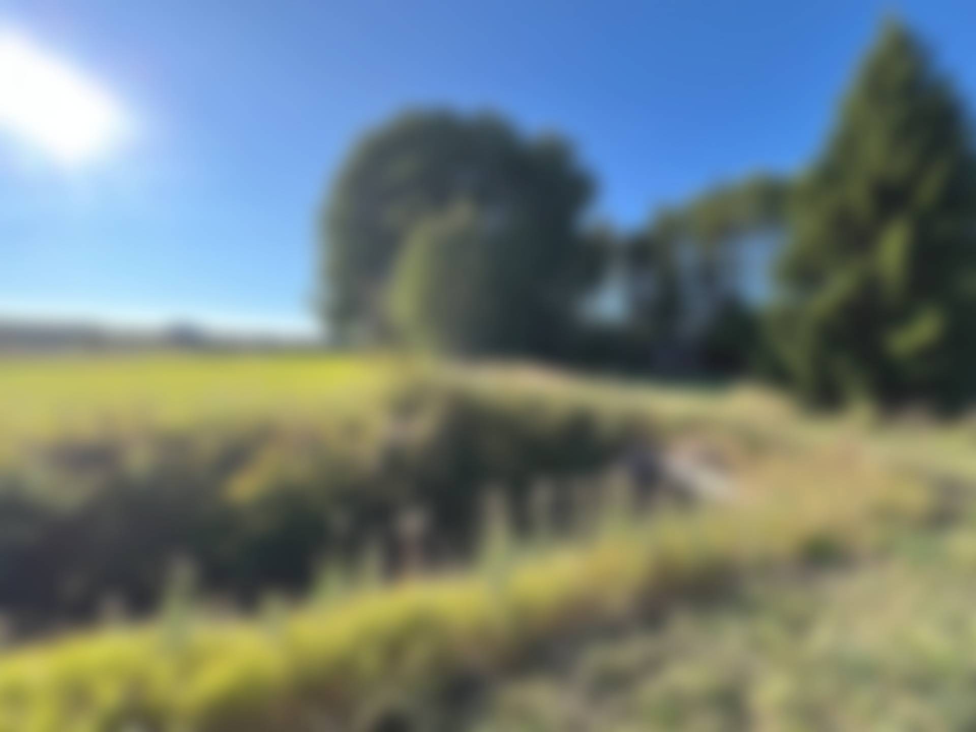Tierp, Tierps kommun