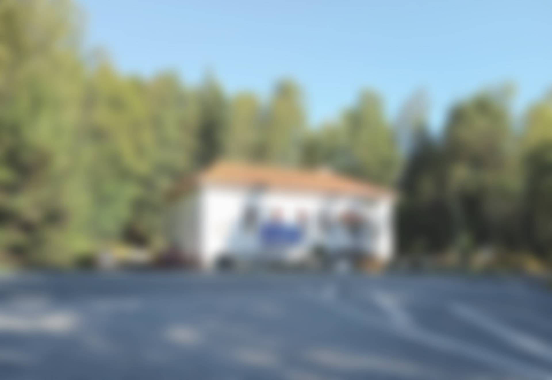 Ed, Dals-Eds kommun