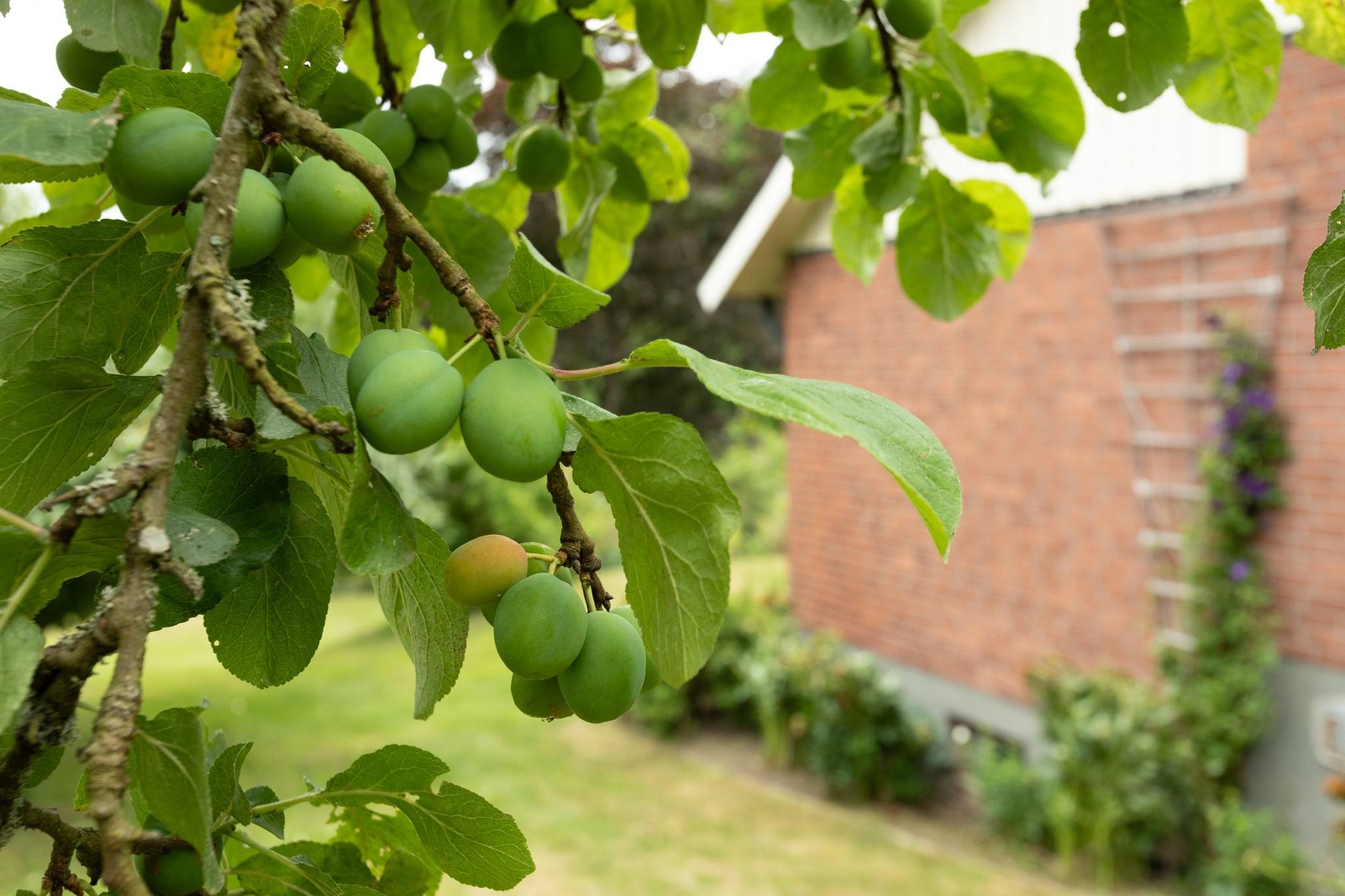 5 rum Villa på Veneröd 440 Hålta Kungälvs kommun - bild 34