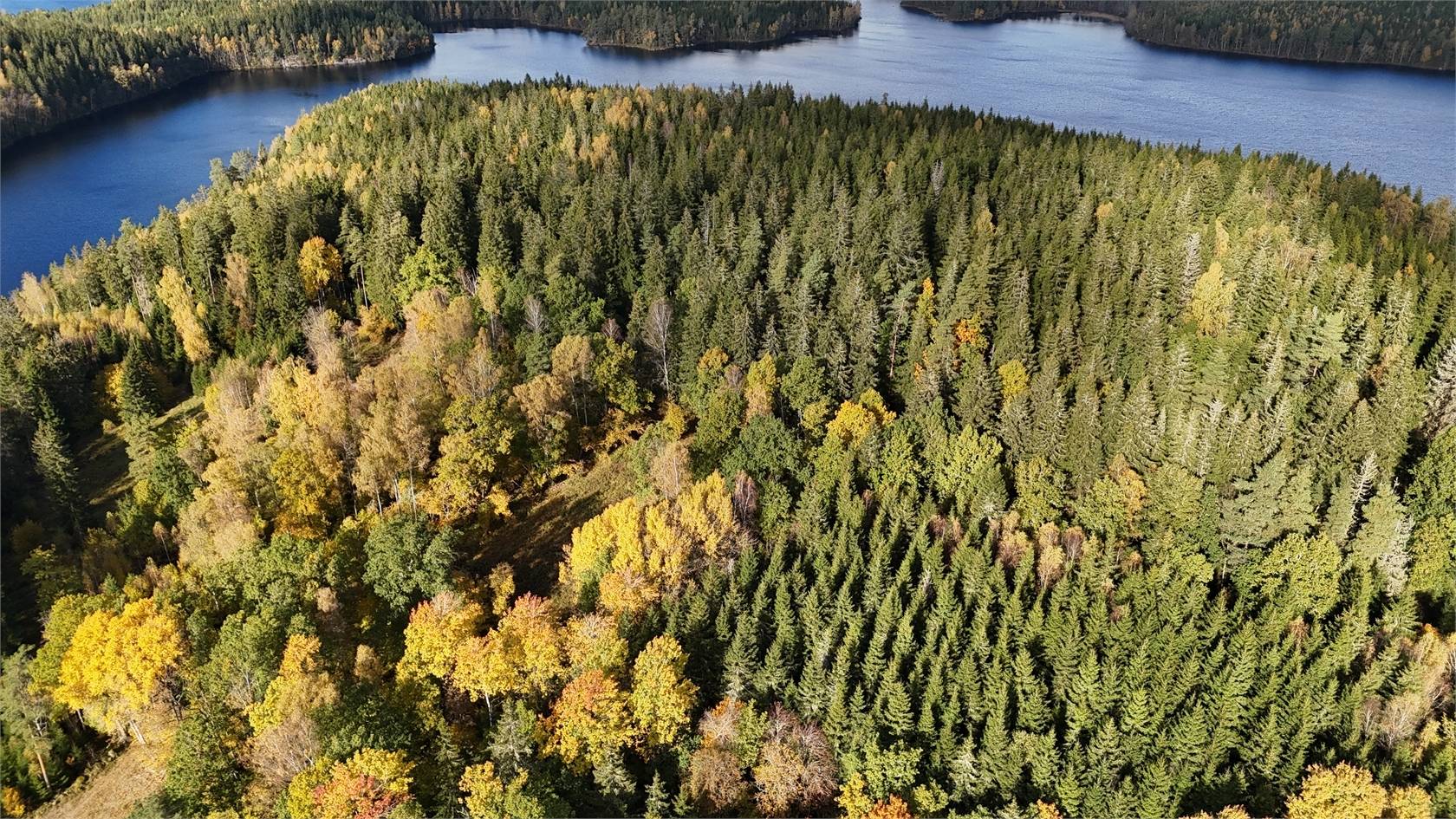 3 rum Övrig på Tosthult 15 Ambjörnarp Tranemo kommun - bild 2