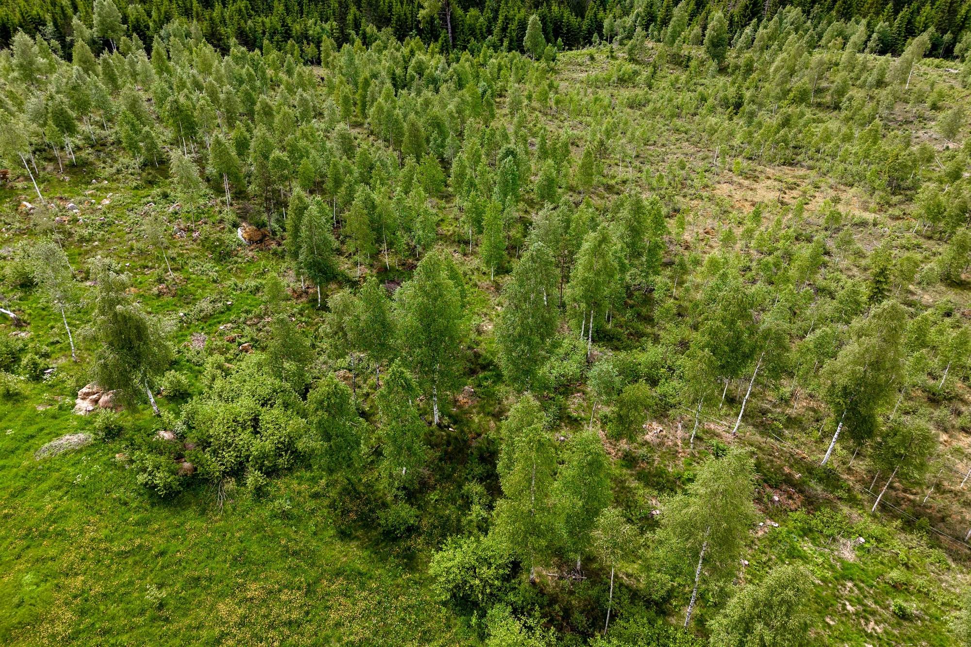 117 m² Gård/skog på Lövslätten 2 Lövslätten Skinnskattebergs kommun - bild 85