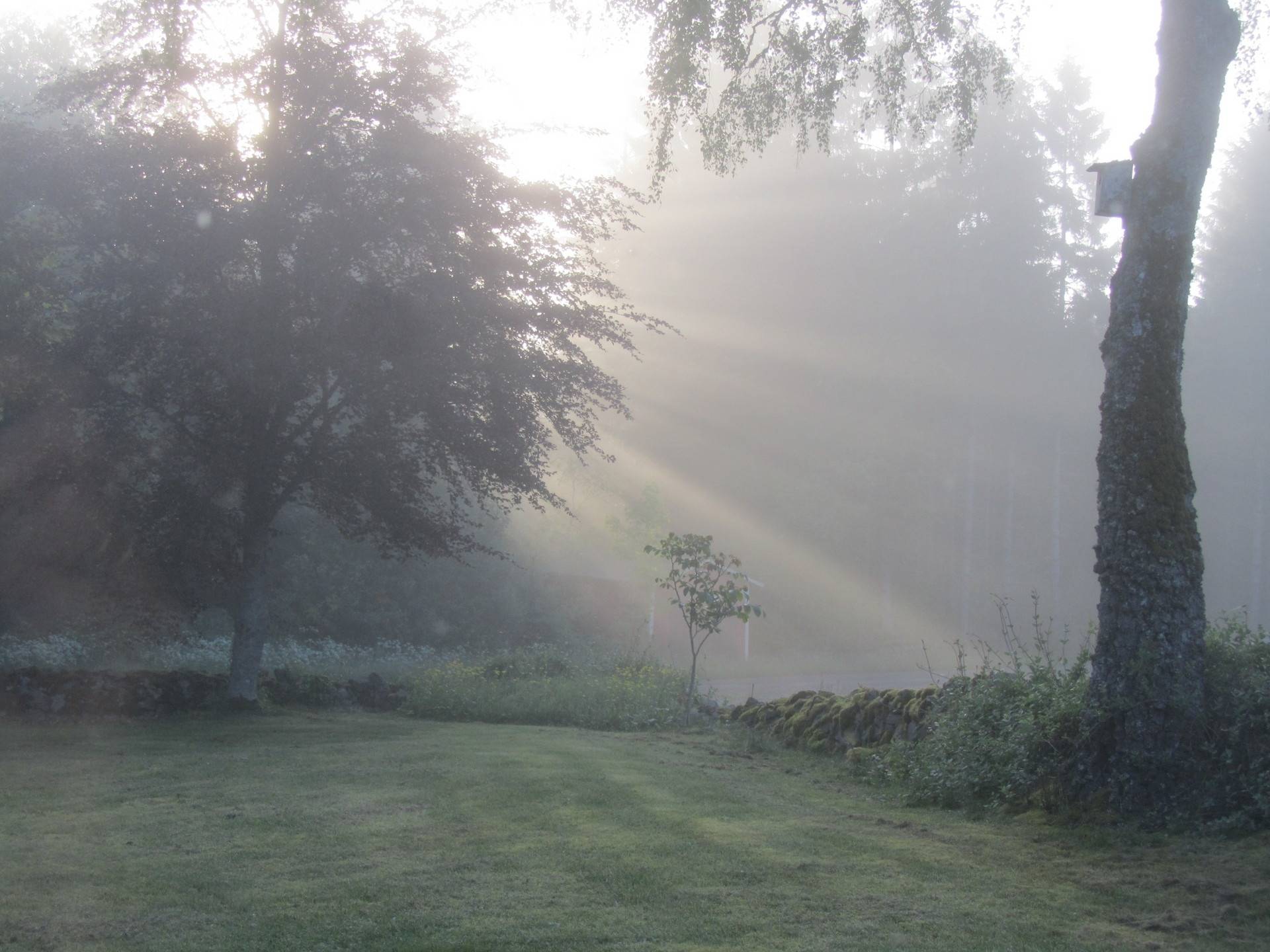 Gård/skog på Gashult Norrgård 3 Ljungby kommun - bild 13