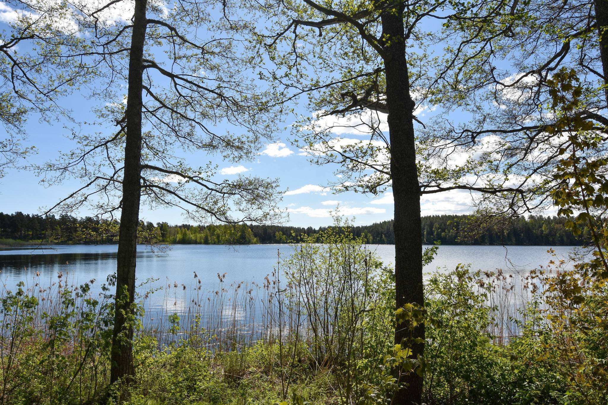 8 rum Villa på Gräsuddsvägen 39 Söderhamns kommun - bild 43