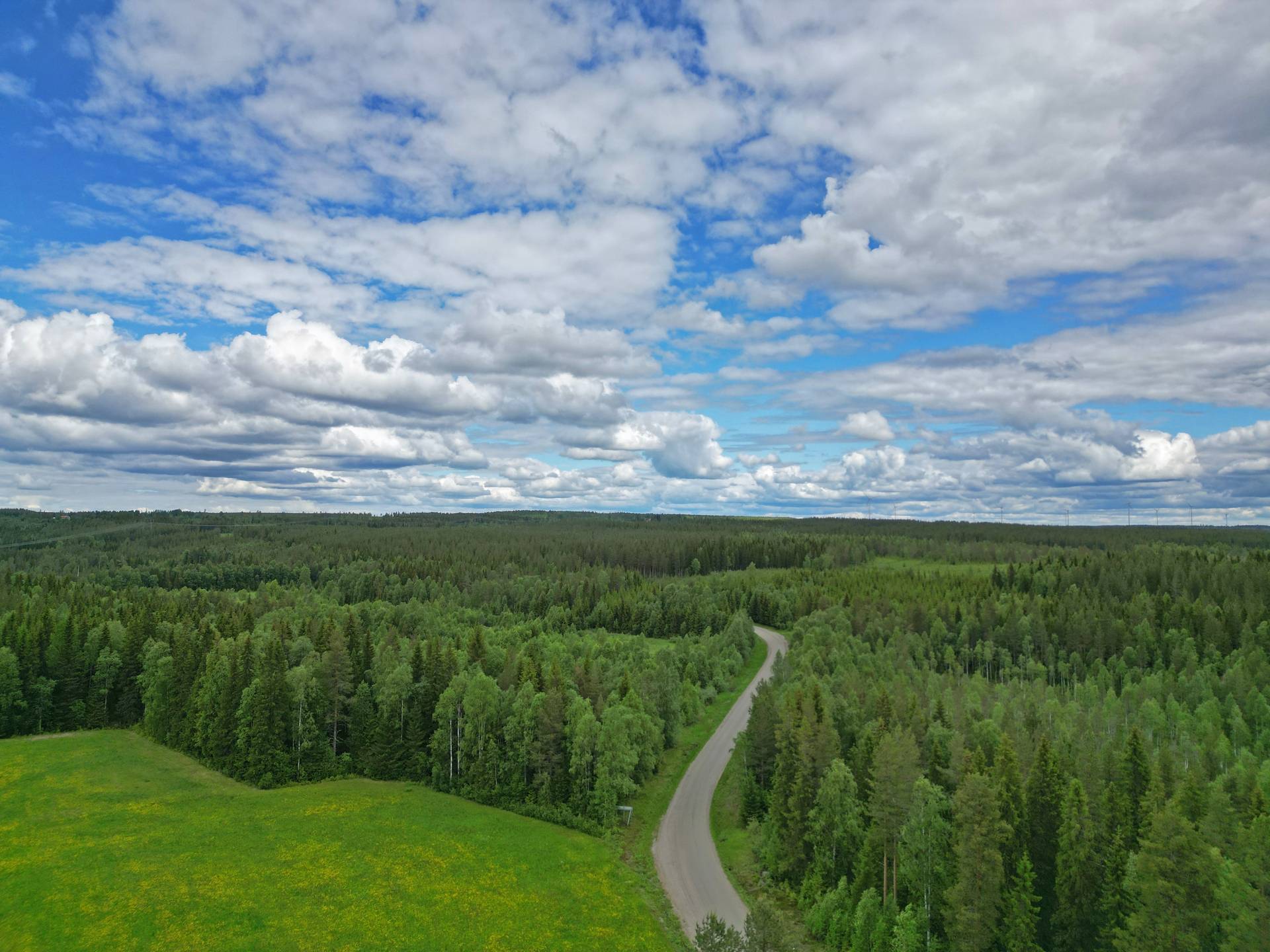 Gård med jordbruk på Stormyrbrännan Umeå kommun - bild 23