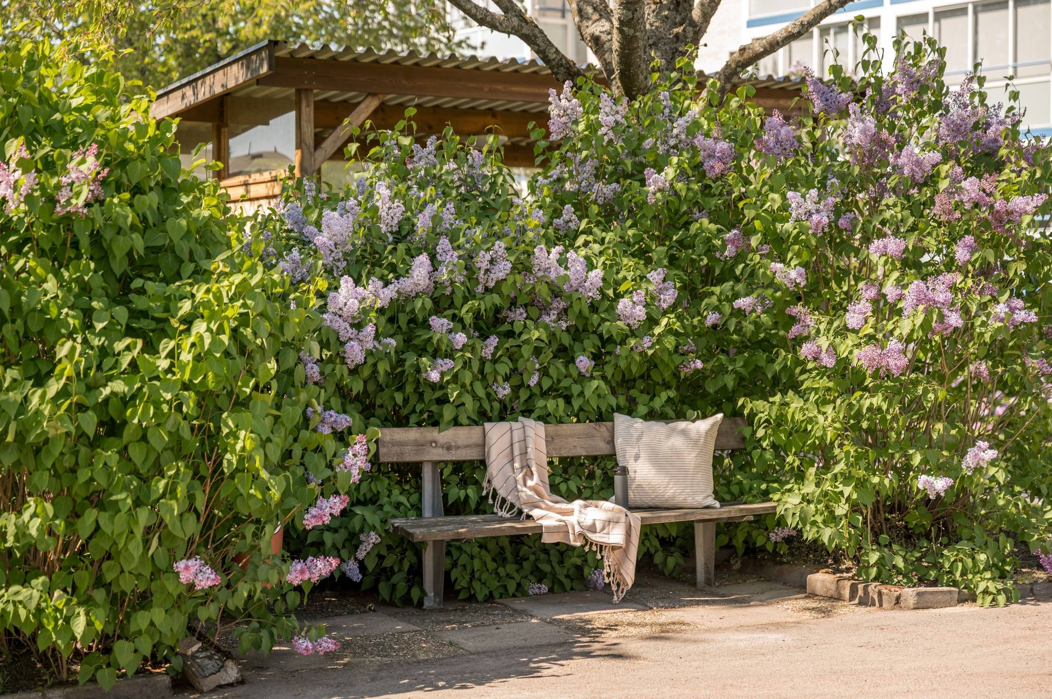 3 rum Lägenhet på Mossgatan 181 Rud Karlstads kommun - bild 23
