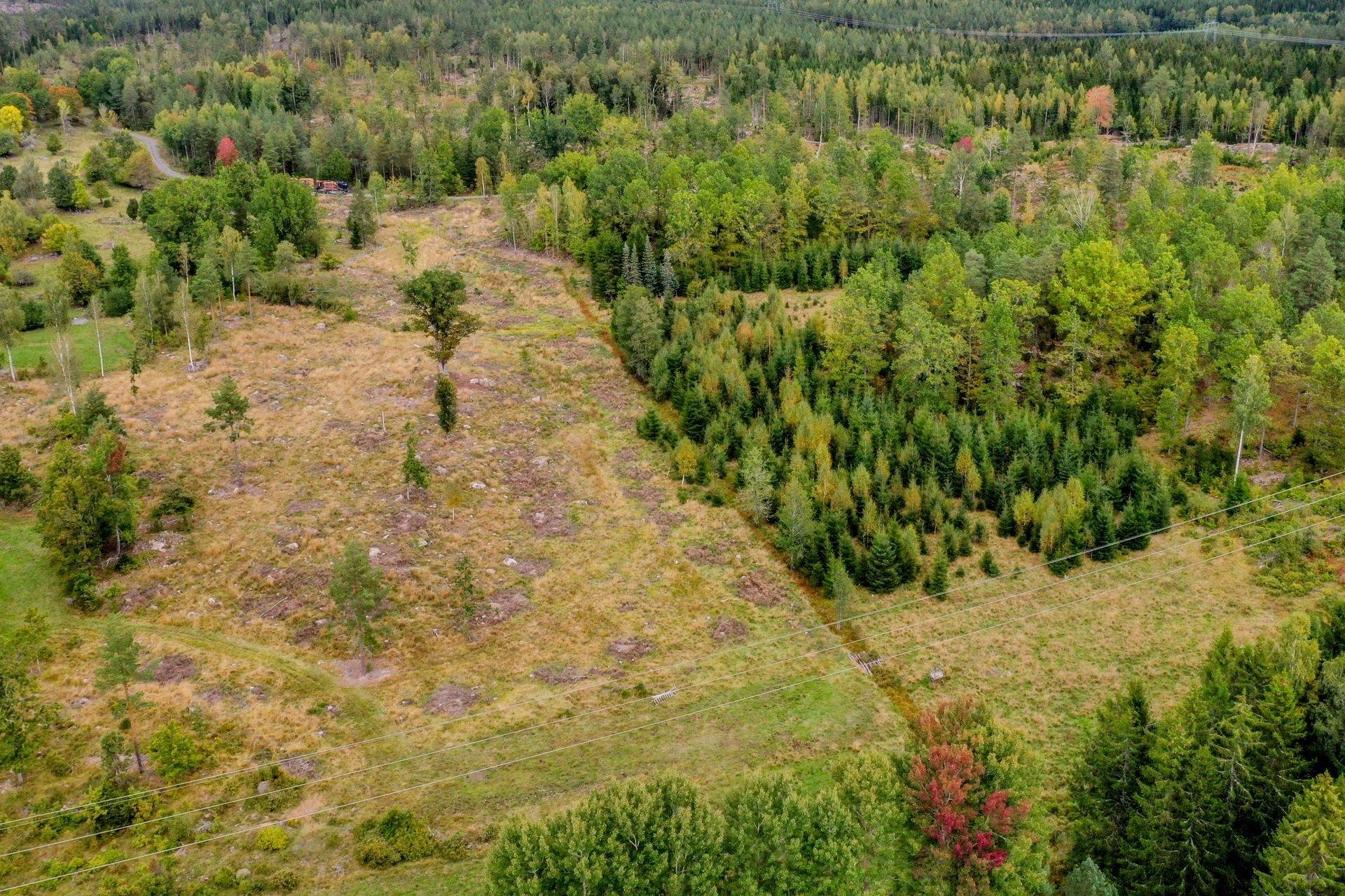 4 rum Gård/skog på Stormandebo Koltorp Västervik/Vimmerby Västerviks kommun - bild 42