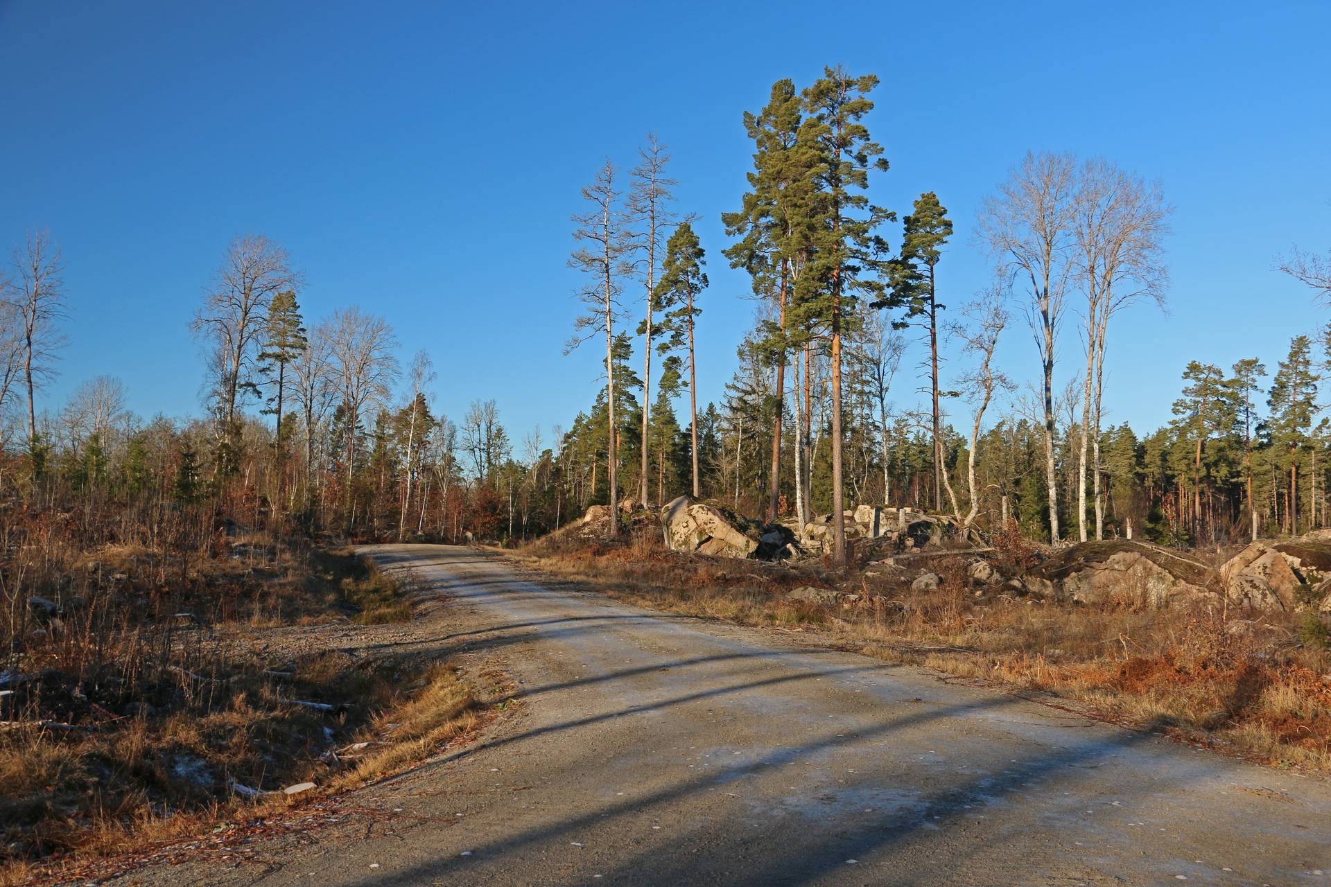 Gård/skog på Fliseryds-Boda Skog AB Mönsterås kommun - bild 4