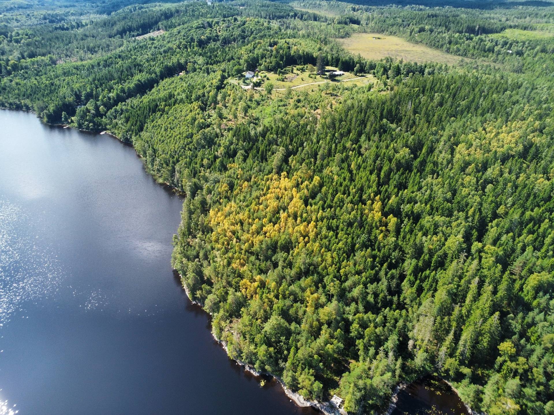 6 rum Gård med skogsbruk på Stockedalen 150 Alingsås Ale kommun - bild 7