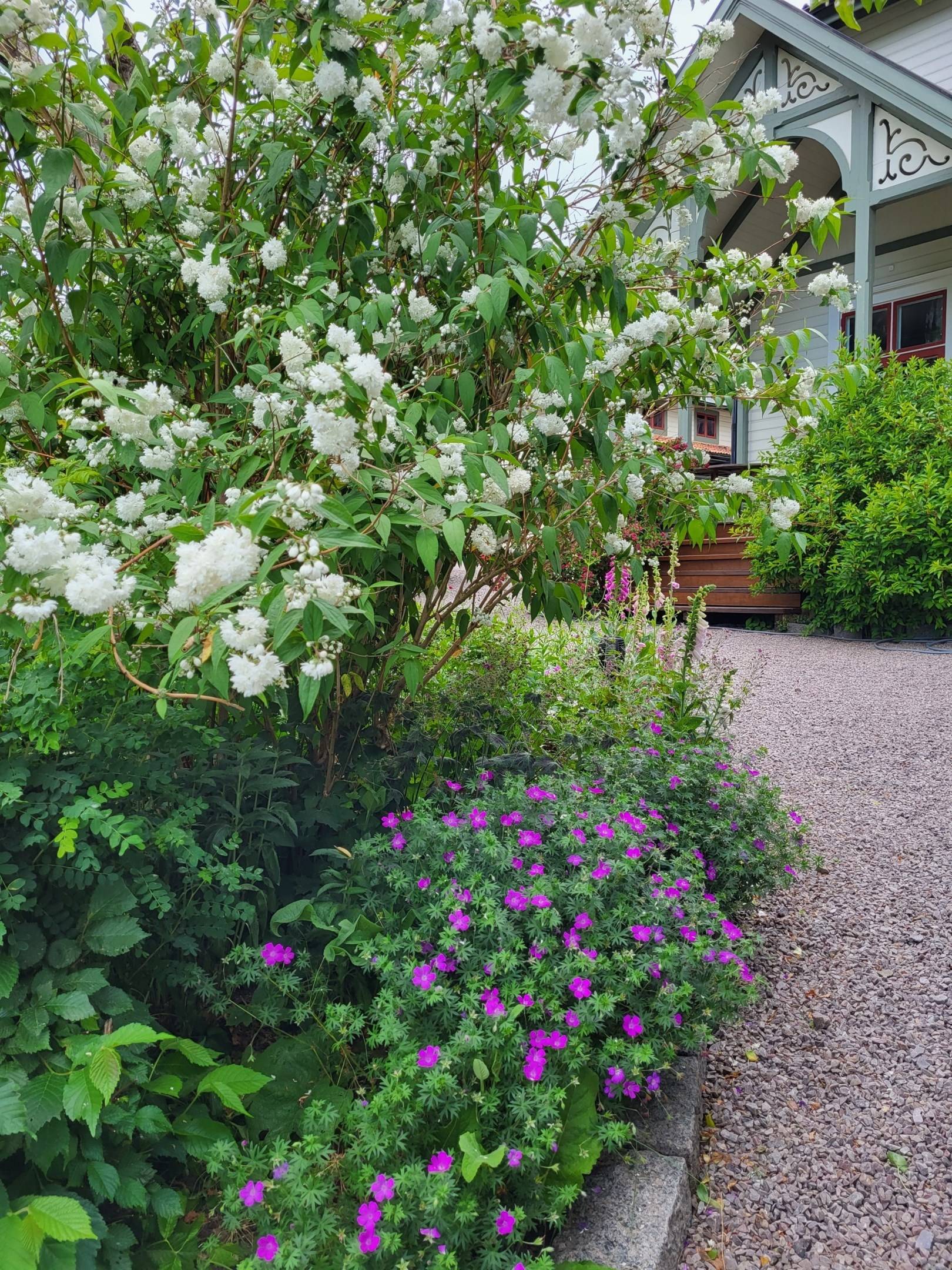8 rum Villa på Garpedansvägen 17A - Villa Skogsborg Gamleby Västerviks kommun - bild 69