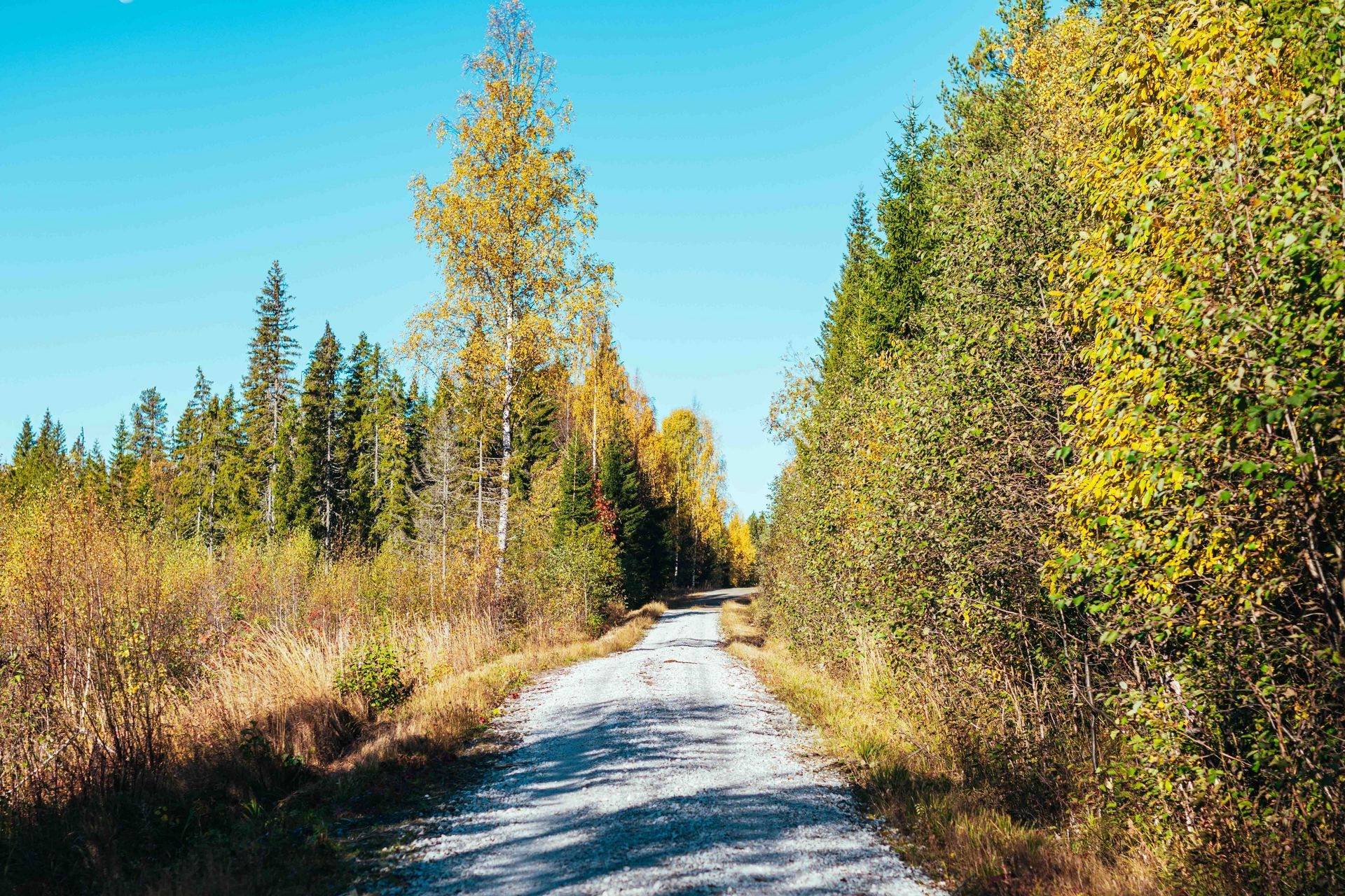 Gård med skogsbruk på ÅNGE BACKEN 4:20 Ånge kommun - bild 6