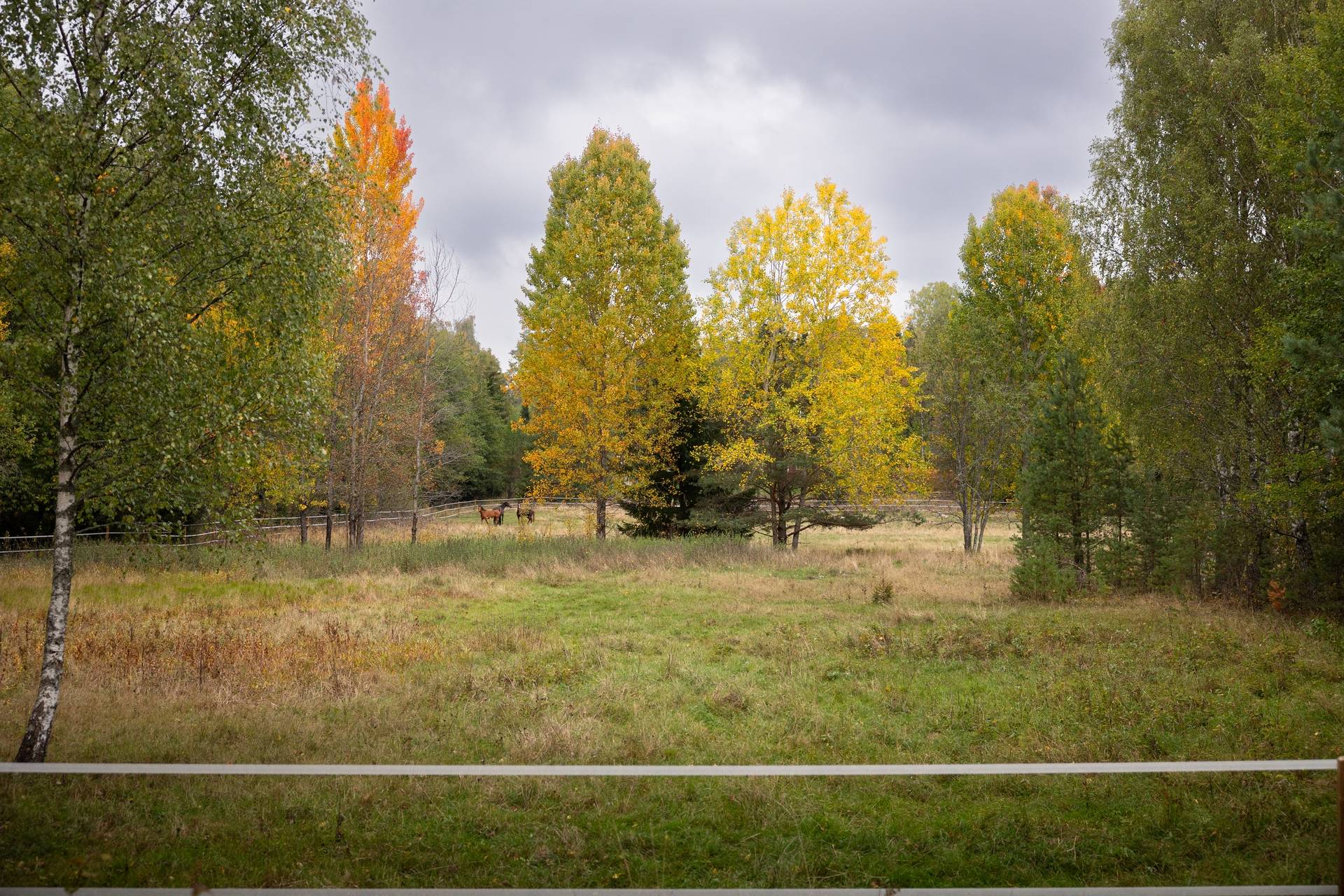 5 rum Gård/skog på Mellringe gård 1 Läggesta/Hedlandet Mariefred Strängnäs kommun - bild 17