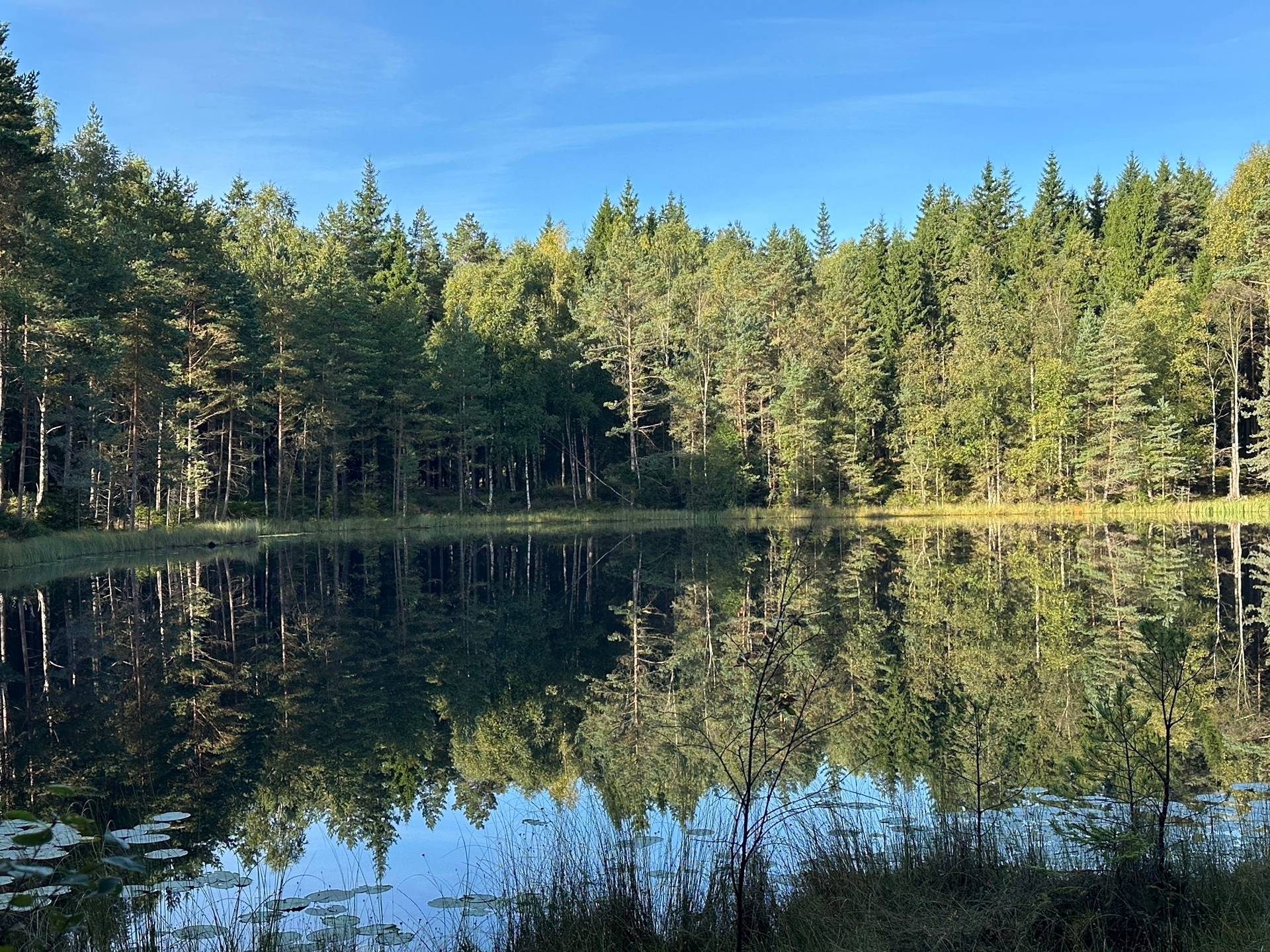 Gård med skogsbruk på MARK ANABÄCKSHULT 2:14 Anabäckshult Marks kommun - bild 1
