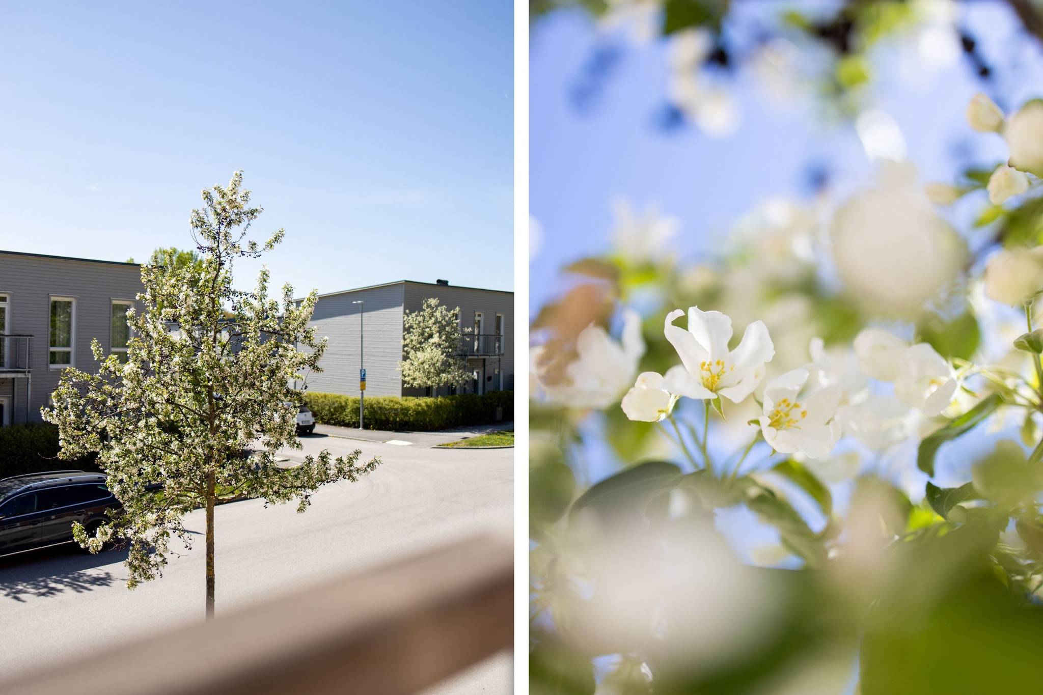 3 rum Lägenhet på Korthållsgatan 7B Rynningeåsen Örebro kommun - bild 6