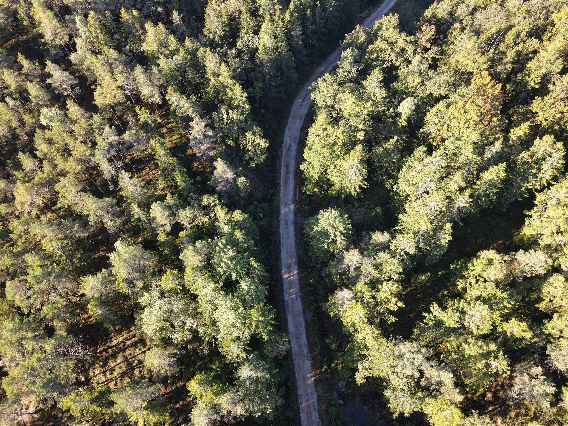 Gård/skog på Skogsfastighet i Hogstorp Hogstorp Uddevalla kommun - bild 4