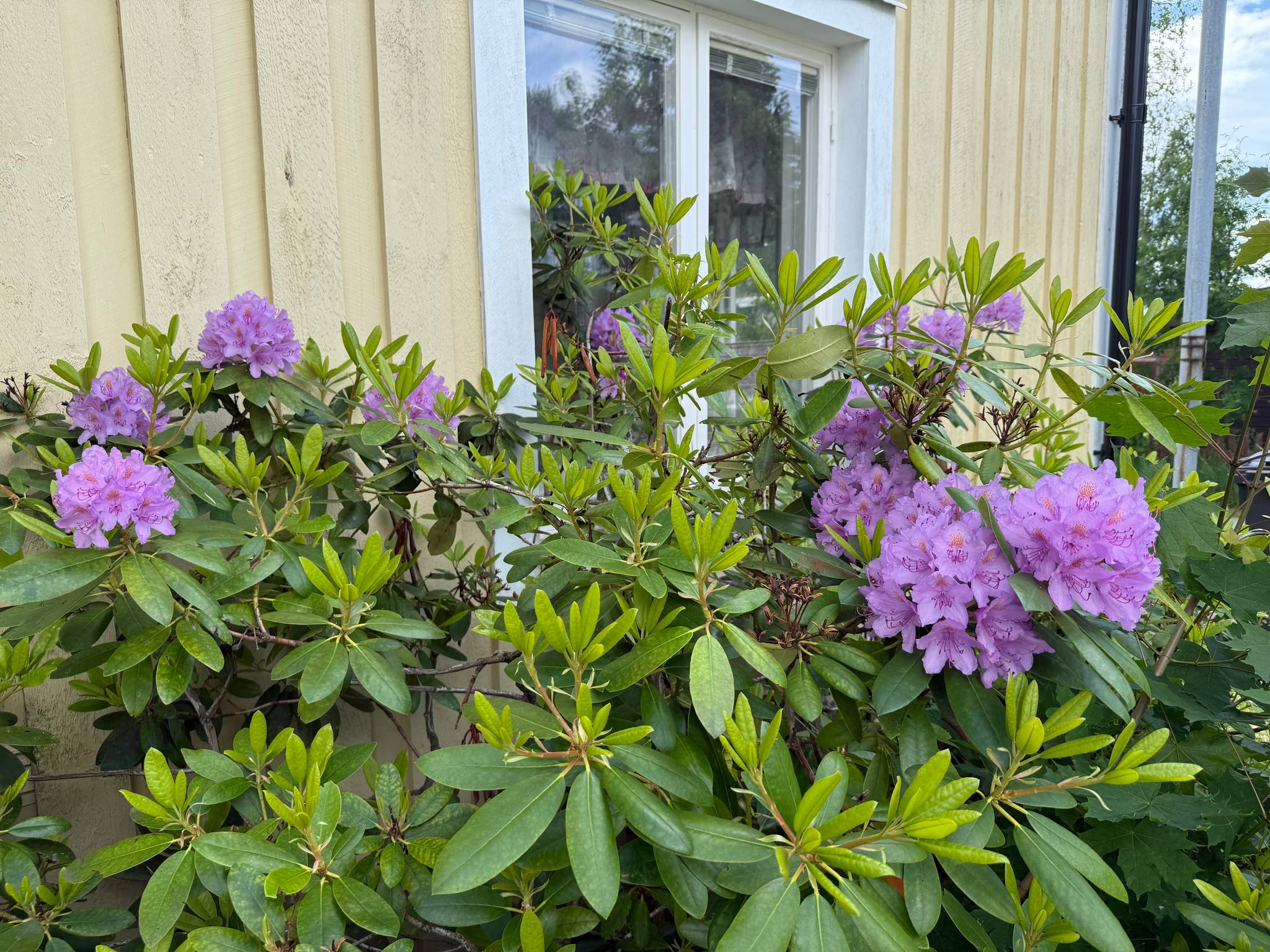 6 rum Villa på Södra Strömsborgsgatan 14 Härnösands kommun - bild 37