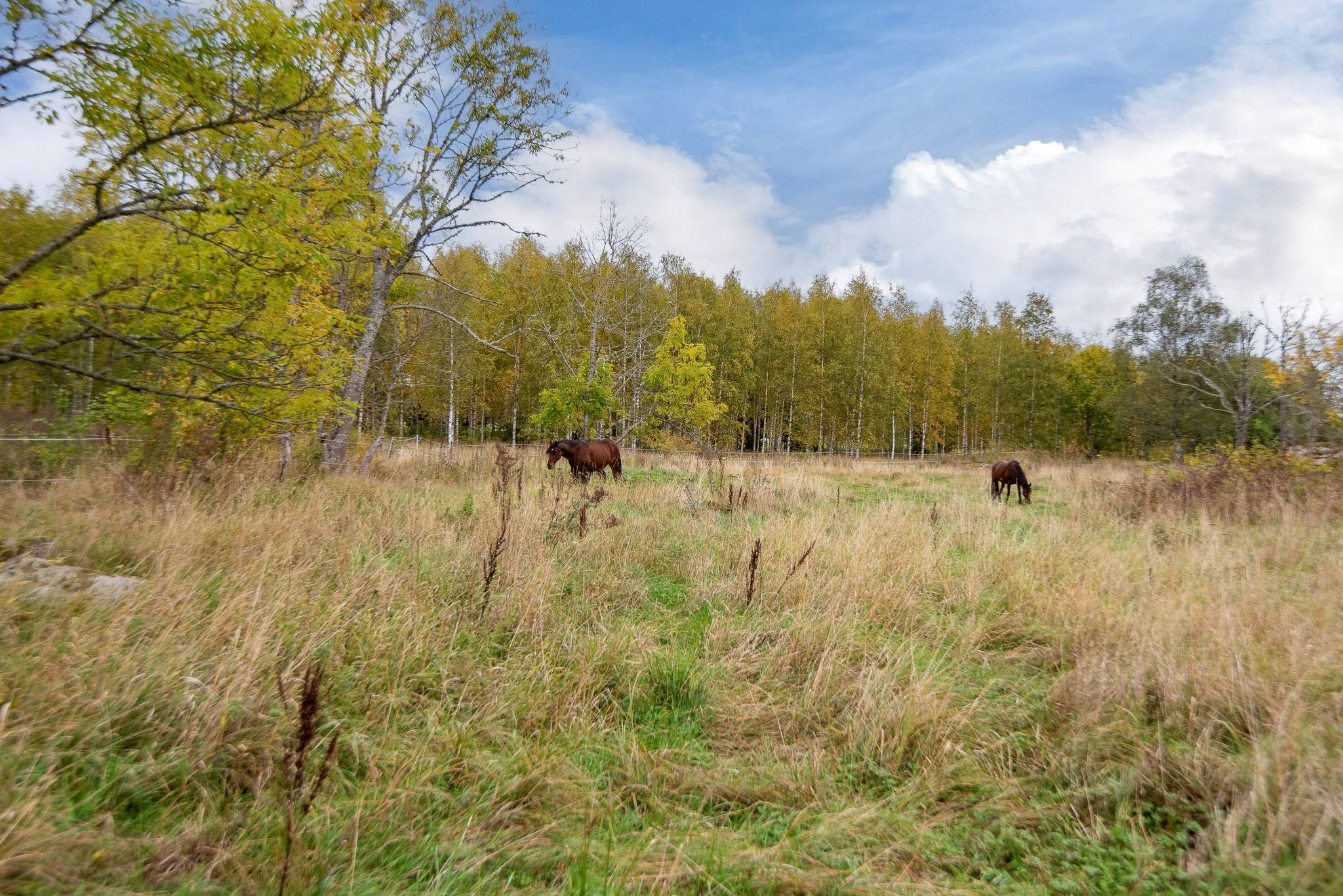 8 rum Gård/skog på Torsta 1 Västerås kommun - bild 26