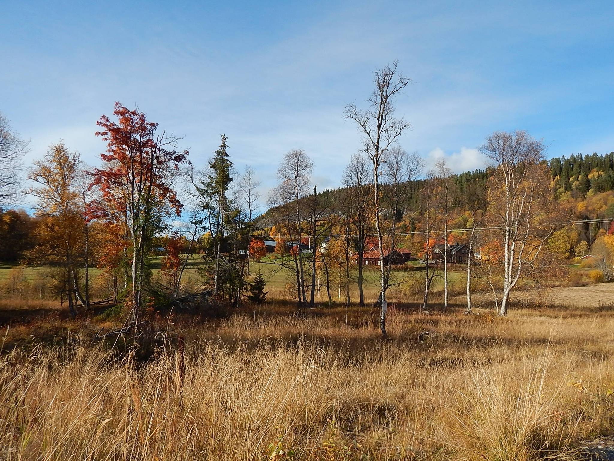 Tomt på Spälstigen 6 Tännäs Härjedalens kommun - bild 2