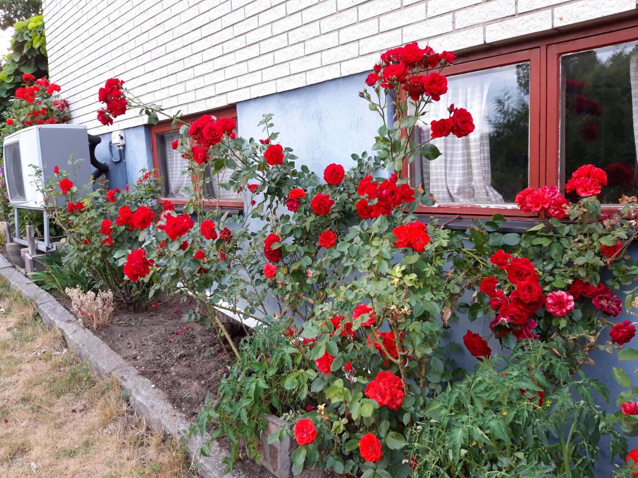 7 rum Villa på Åkervägen 3 Norrby Oskarshamns kommun - bild 77