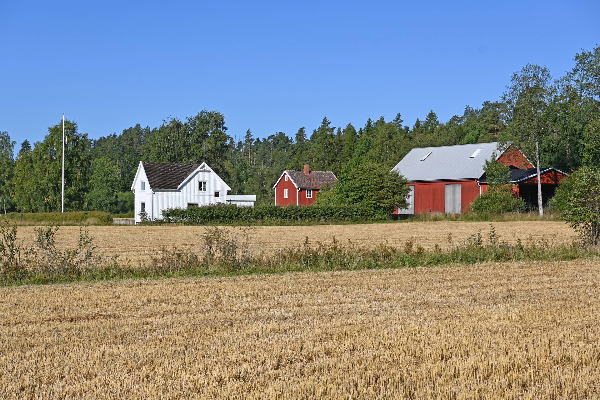 Gård med skogsbruk på Östergården Alingsås kommun - bild 2